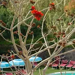 Stella Maris Terme Hotel