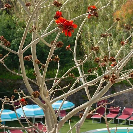 Hotel Stella Maris Terme Hotel
